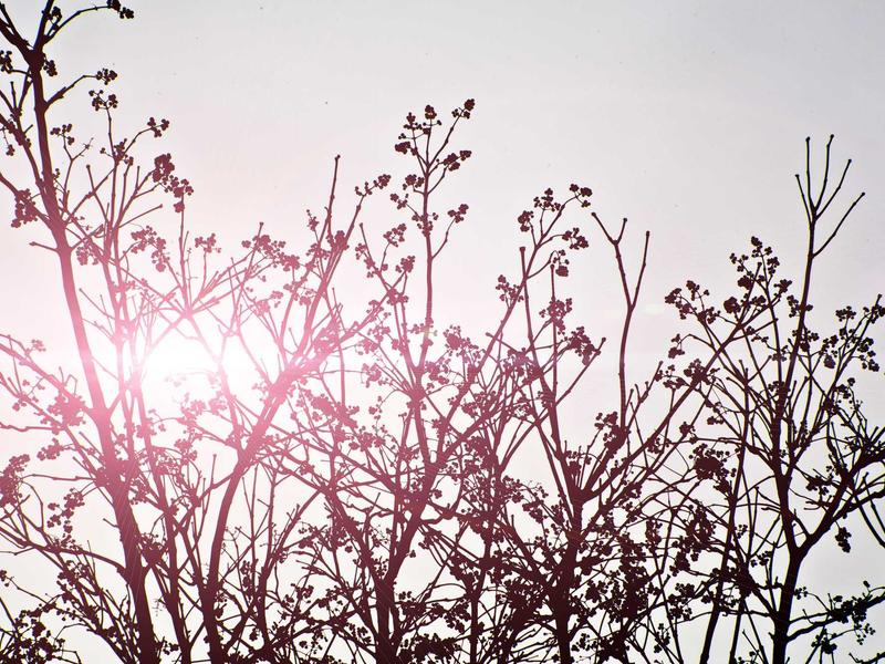 sudoku mouse controls screenshot 2